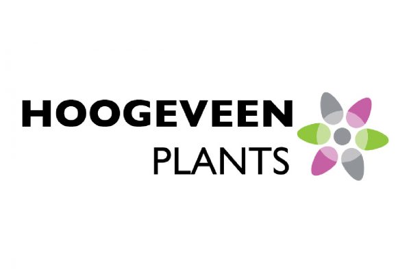 hou-vast-hoogeveen-plants